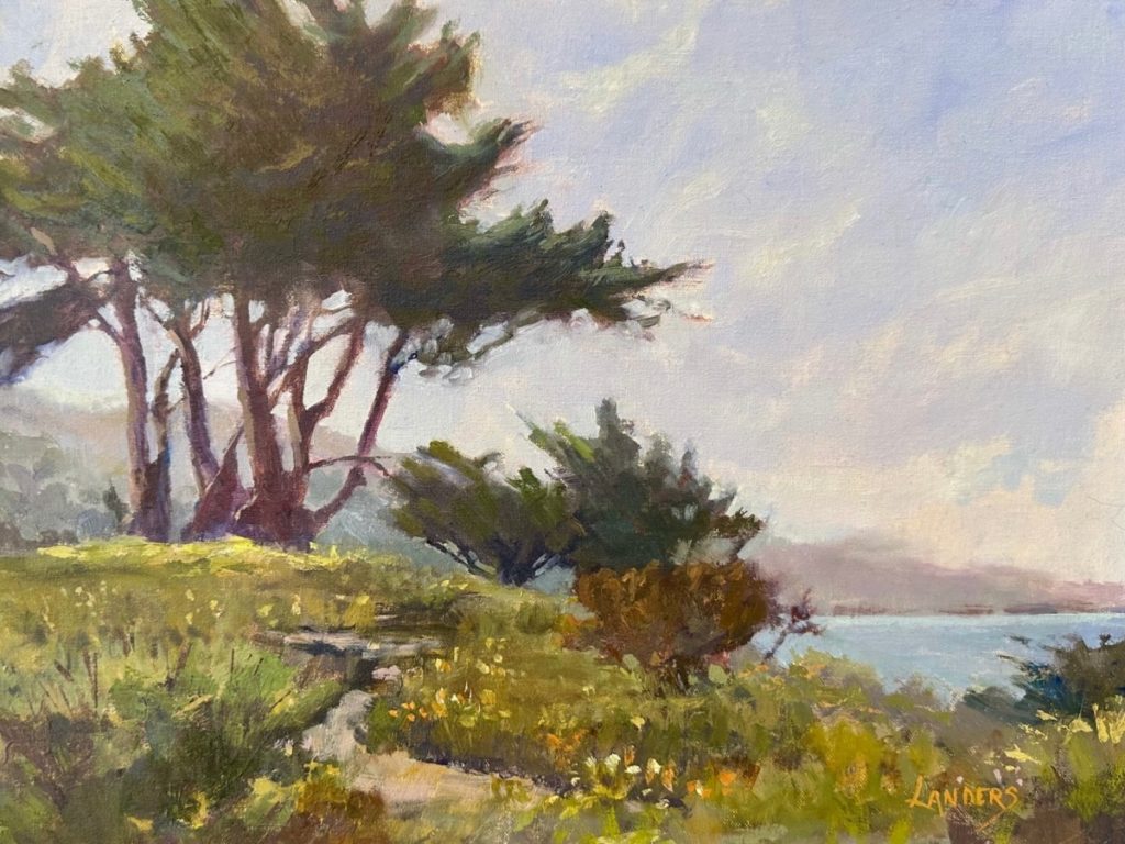 Half Moon Bay Cypress