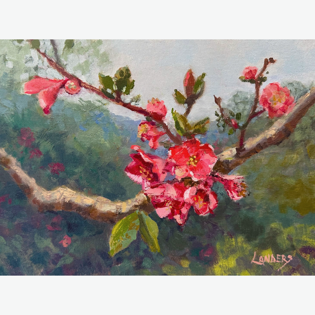 Quince blooms