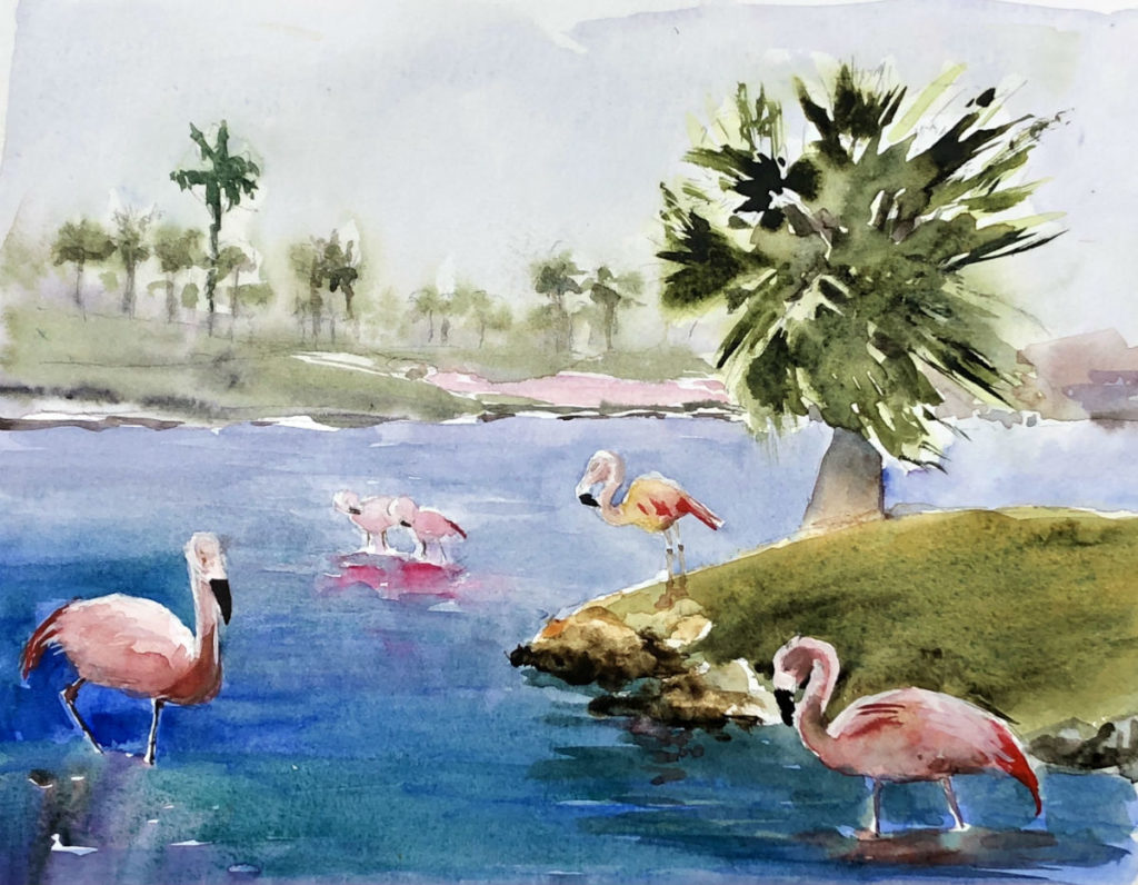 Flamingos in Palm Desert California