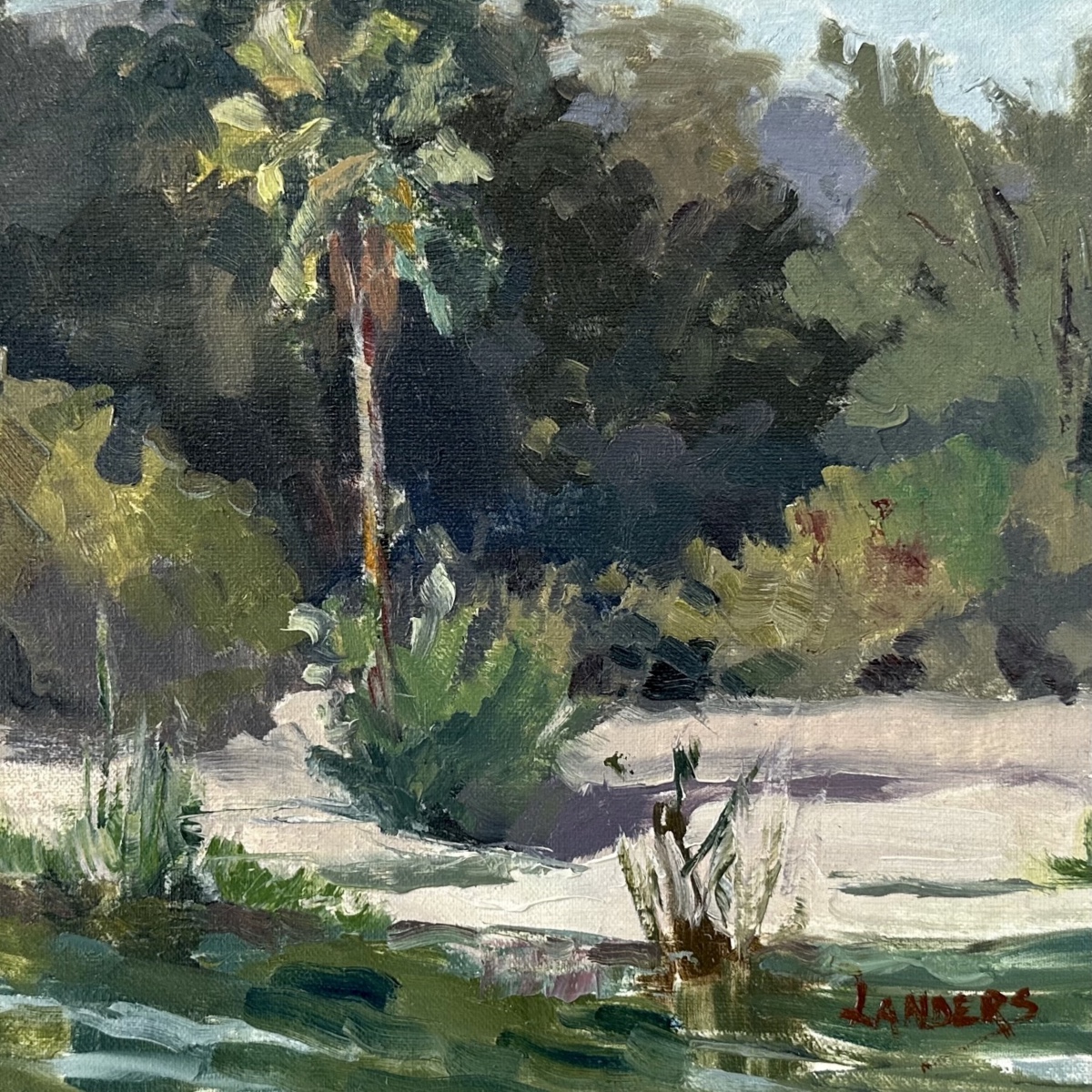 Lake Almaden Palm