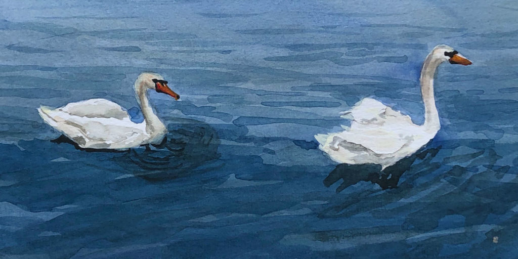 Two Swans