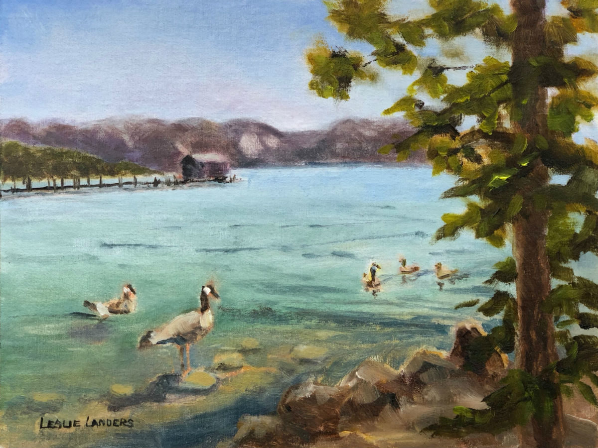 Tahoe City Geese