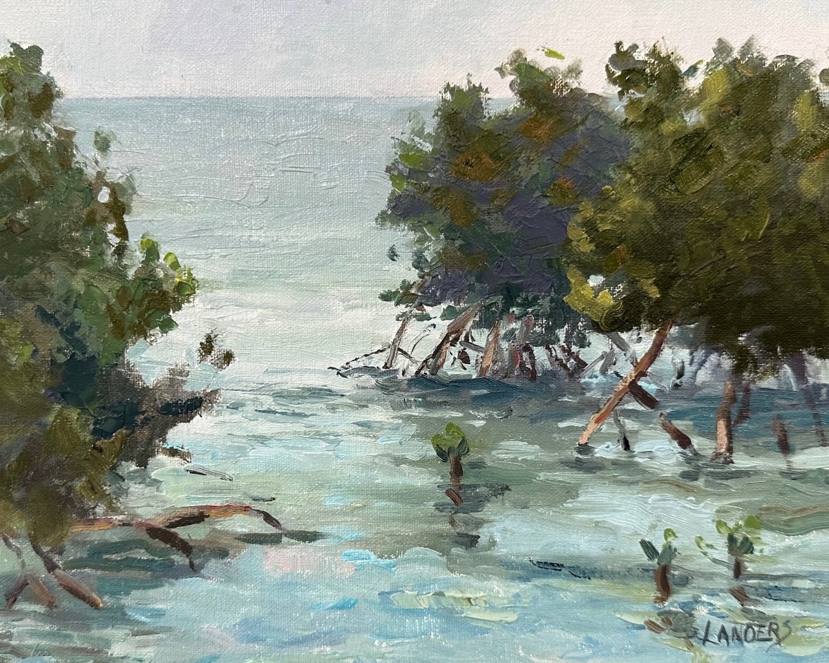 Volivoli Mangroves