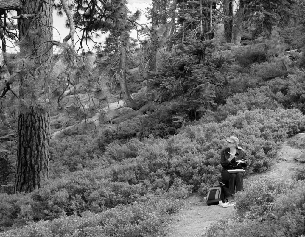 Sketching at Glacier Point