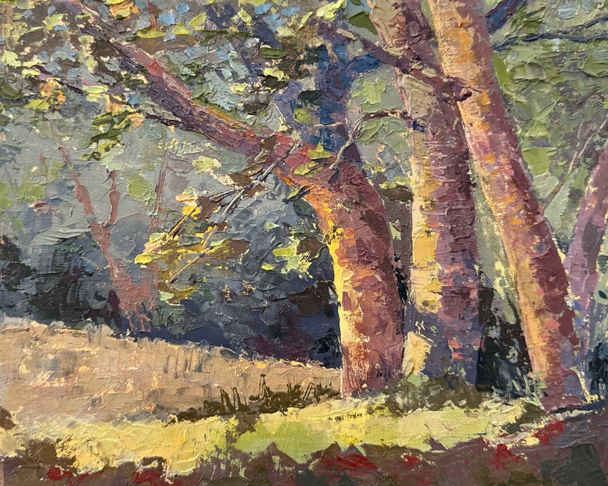 Palette Knife Sycamore