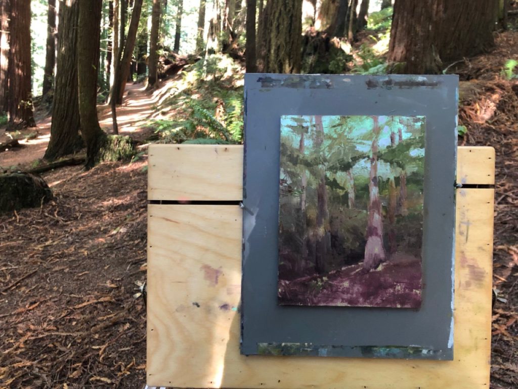 Plein_Air_Painting_Redwoods