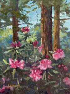 Redwood and Rhododendron