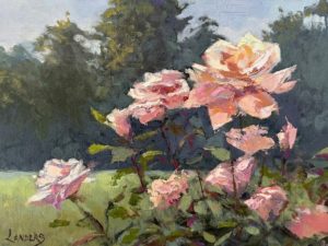 Rose Garden in Peaches and Cream