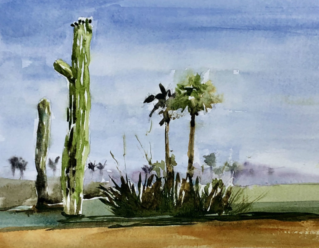 Palm Desert Cactus and Palms